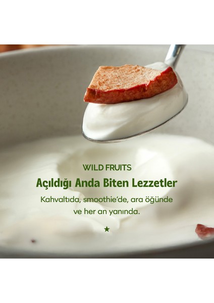 Kurutulmuş Tarçınlı Elma - Soft Dried - Atıştırmalık Kuru Meyve 2 x 50 gr fırsatları