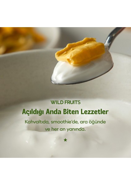 Kurutulmuş Mango - Soft Dried - Atıştırmalık Kuru Meyve 2 x 50 gr fırsatları