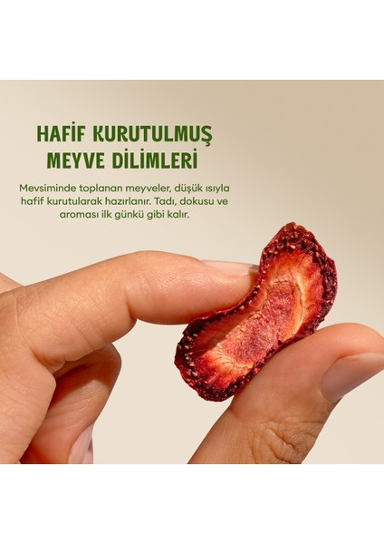 Kurutulmuş Çilek - Soft Dried - Atıştırmalık Kuru Meyve 2 x 50 gr fiyatları