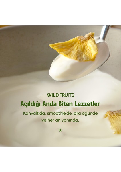 Kurutulmuş Ananas - Soft Dried - Atıştırmalık Kuru Meyve 2 x 50 gr fırsatları