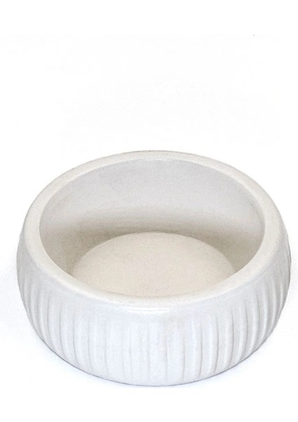 Buğz Mikopet Organik Seramik Mama Kabı Beyaz modelleri