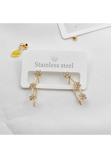 Kelebek Çelik Küpe