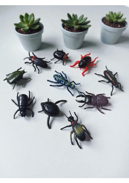 Concept Gerçek Görünümlü Gerçek Boyutlu Böcek Seti 10'lu fiyatları