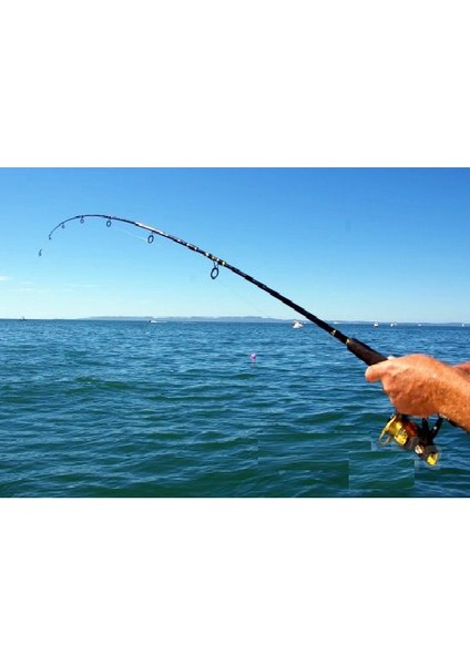 Buğz Misina Ipi 300 Metre fiyatları