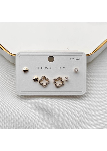 Kararmaz Çoklu Zarif Çelik Küpe