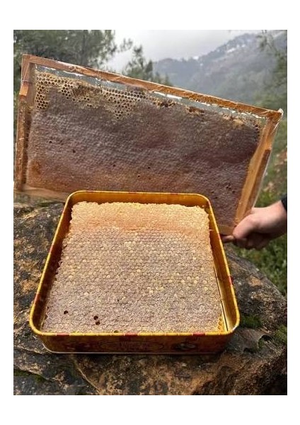 ​🍯 Petekli Karakovan Balı: Arının Emeği, Doğanın Sanatı