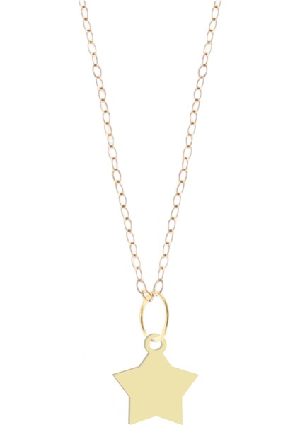 Altın Plakalı 14 Ayar Yıldız Motifli Doğum Günü Hediyesine Özel Altın KOLYE-849