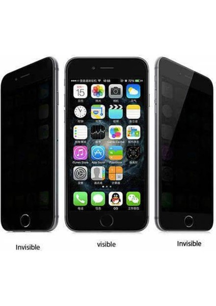 Buğz Newface Samsung Galaxy S24 Plus Bilvis Hayalet Cam Ekran Koruyucu