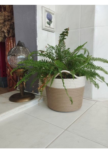 2 Adet Dekoratif Düzenleyici Sepet Saksılık fiyatları