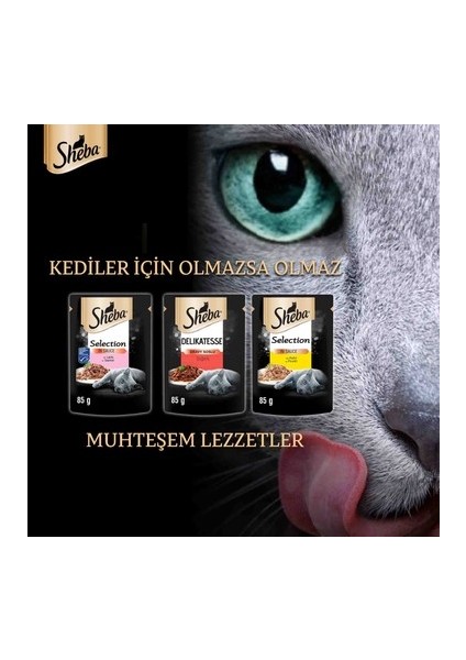 85 gr Pouch Somonlu 28'li indirimleri