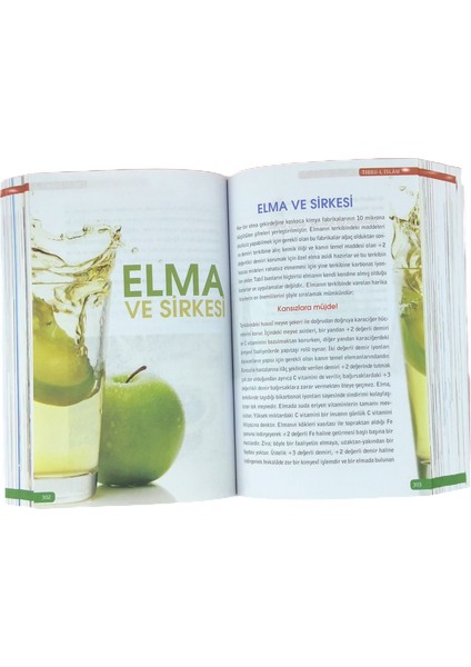 Tıbbu’l Islam -Islam Tıbbı modelleri