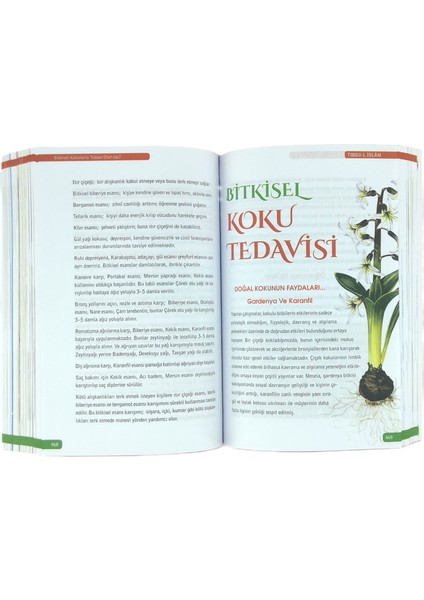 Tıbbu’l Islam -Islam Tıbbı