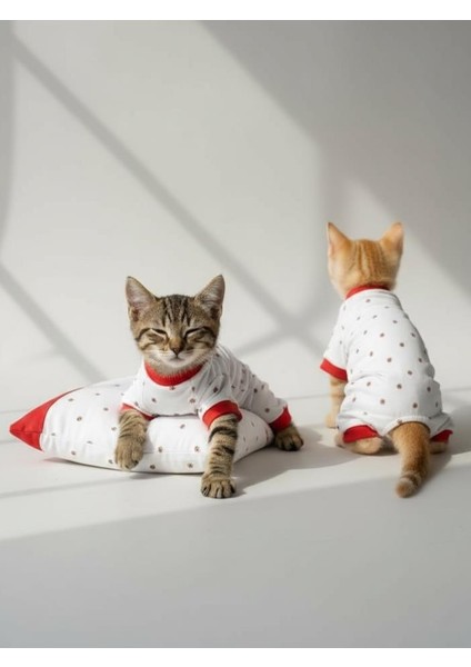 Berry Kedi Uyku Seti | Penye Kedi Tulum ve Mini Yastık Takımı | Pamuklu | Tüy Dökülmesini Azaltır | indirimleri