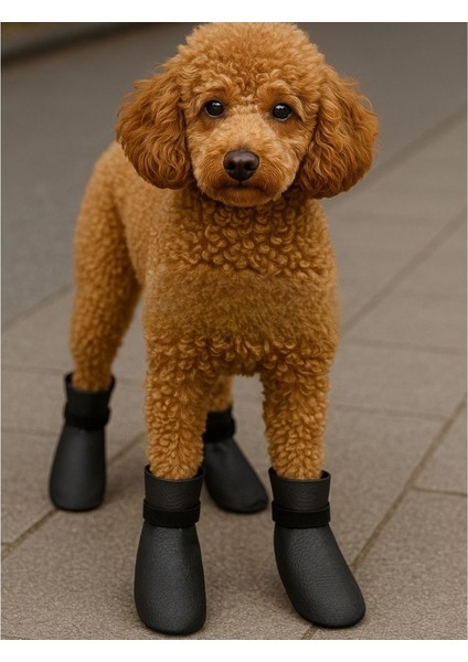 Köpek Ayakkabısı, Su Geçirmez, (S,M,L,XL)