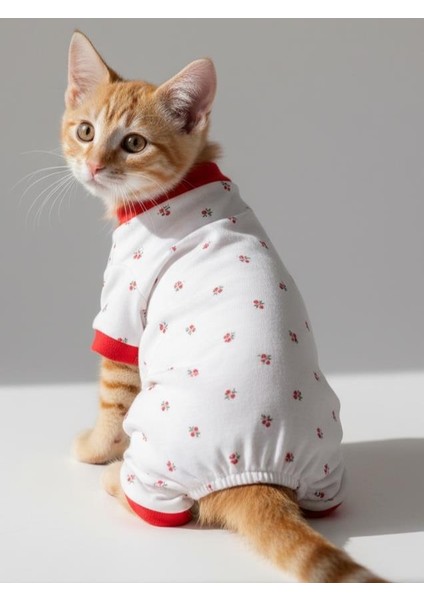 Berry Kedi Tulumu | Pamuklu Penye Kedi Kıyafeti | Küçük Irklar Için | Tüy Dökülmesini Azaltır fırsatları