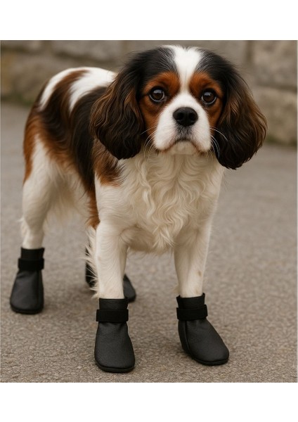 Köpek Ayakkabısı, Su Geçirmez, (S,m,l,xl) indirimleri