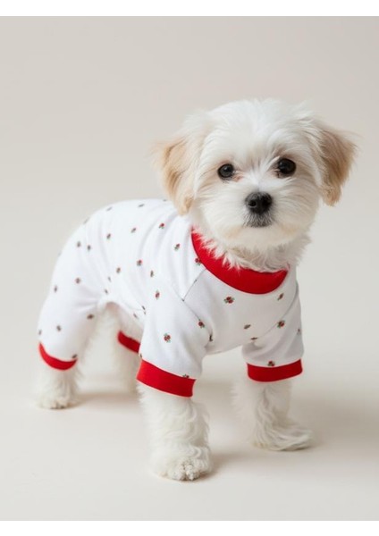 Berry Köpek Tulumu | Pamuklu Penye Köpek Pijaması | Küçük Irklar Için | Tüy Dökülmesini Azaltır