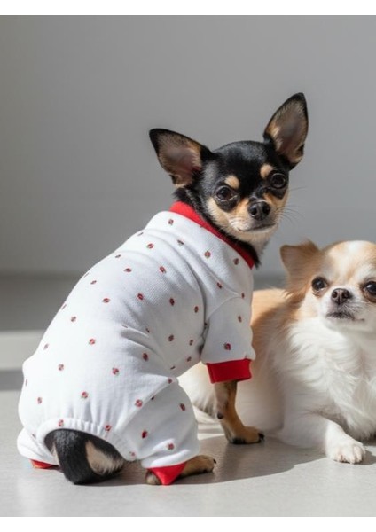 Berry Köpek Tulumu | Pamuklu Penye Köpek Pijaması | Küçük Irklar Için | Tüy Dökülmesini Azaltır fırsatları