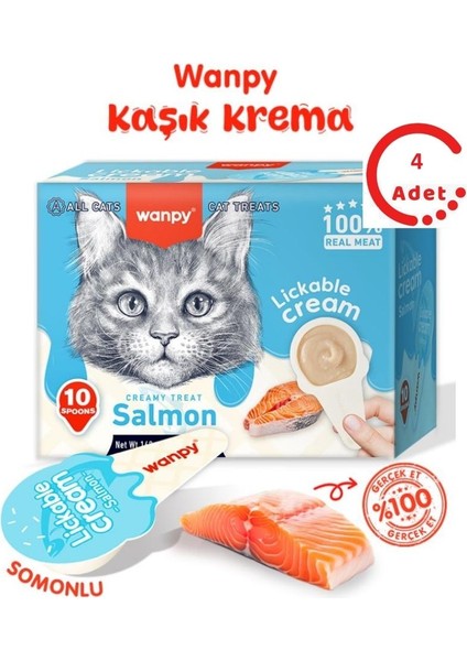 Somonlu Kaşık Krema Kedi Ödül Maması 10X16GR x 4 Adet