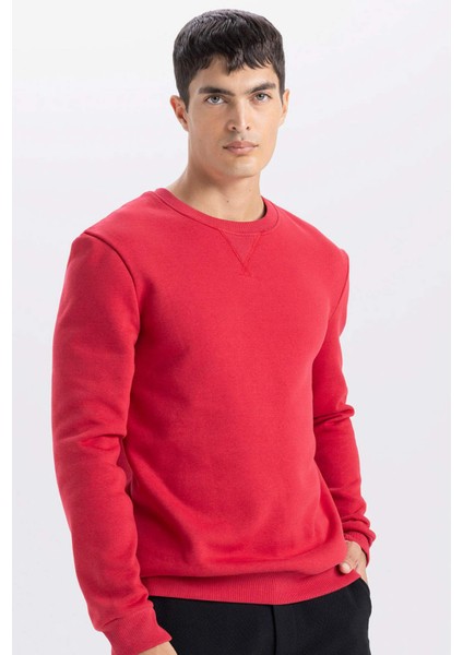 Regular Fit Bisiklet Yaka Kalın Basic Düz Sweatshirt