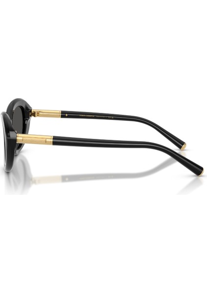 Dg 4519 501/87 54 Dolce & Gabbana Güneş Gözlüğü fiyatları