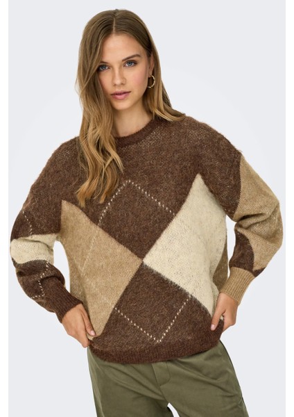Kadın Onlnoeme Desenli Bisiklet Yaka Yünlü Kazak 15353226 Kahverengi