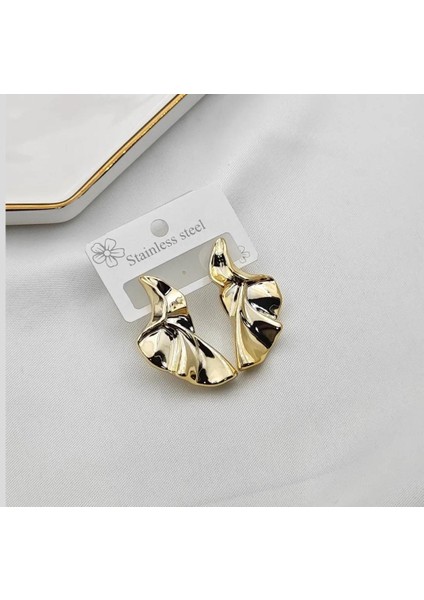 Paslanmaz Kanat Çelik Küpe