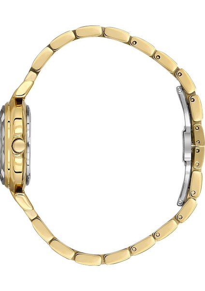 Danıel Kleın DK.3.10073-2 Kadın Kol Saati fiyatları