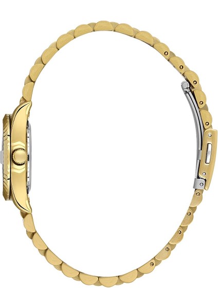 Danıel Kleın DKE.1.10974-2 Kadın Kol Saati fiyatları