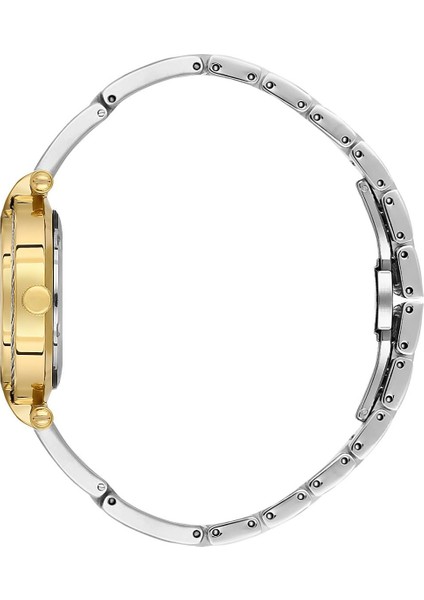 Danıel Kleın DK.3.10070-4 Kadın Kol Saati fiyatları