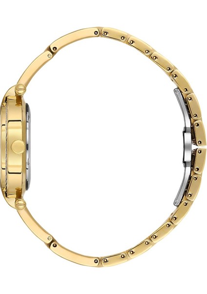 Danıel Kleın DK.3.10070-2 Kadın Kol Saati fiyatları