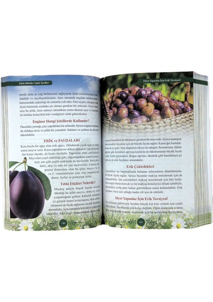 Şifalı Bitkiler Sasklı Tarifler modelleri