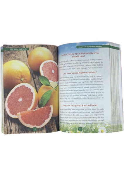 Şifalı Bitkiler Sasklı Tarifler fırsatları