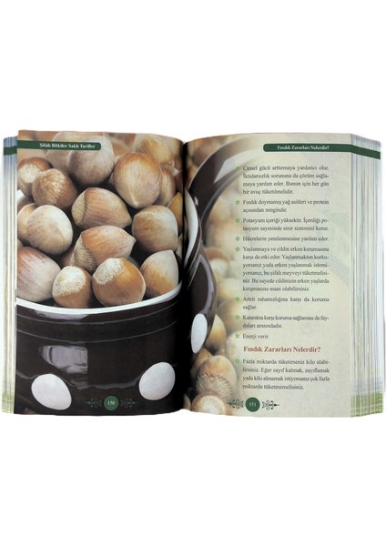 Şifalı Bitkiler Sasklı Tarifler indirimleri