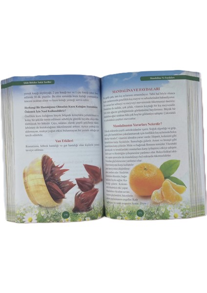 Şifalı Bitkiler Sasklı Tarifler