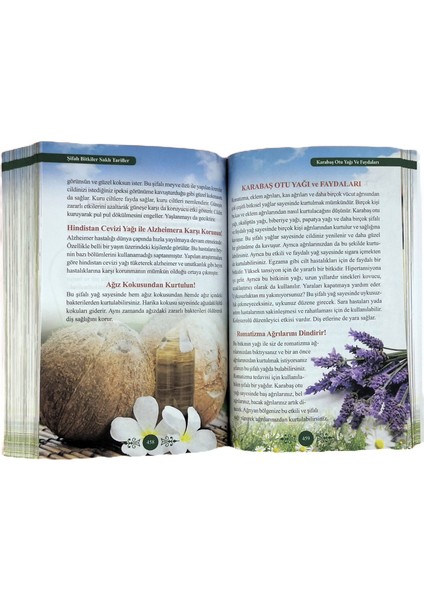 Şifalı Bitkiler Sasklı Tarifler