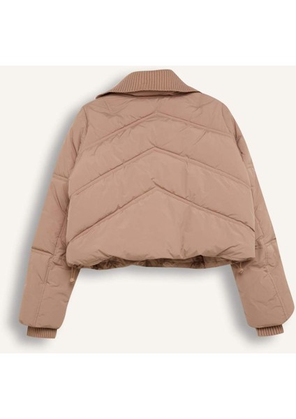 Regular Fit Su Geçirmez Mont Fermuarlı Cepli C9704AX24WN