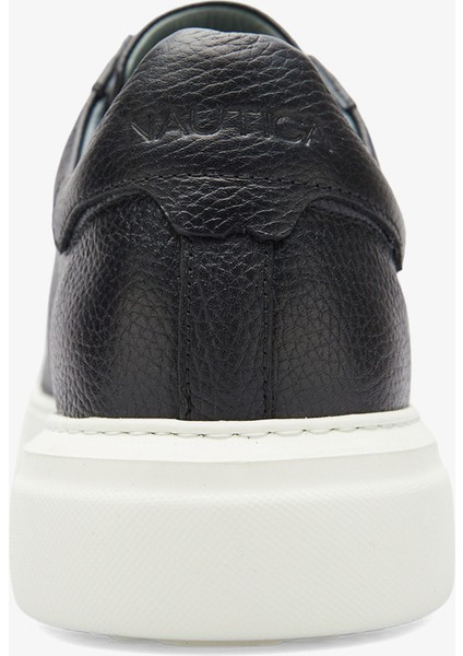 Erkek Siyah Sneaker NT616T.0TB fiyatları