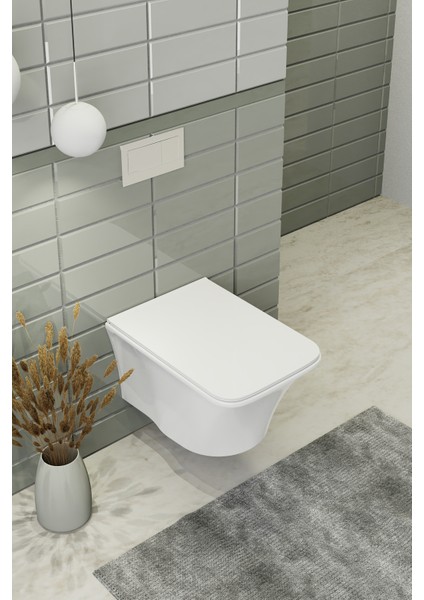 Ibiza Asma Klozet + Klozet Kapağı Renk Beyaz fırsatları