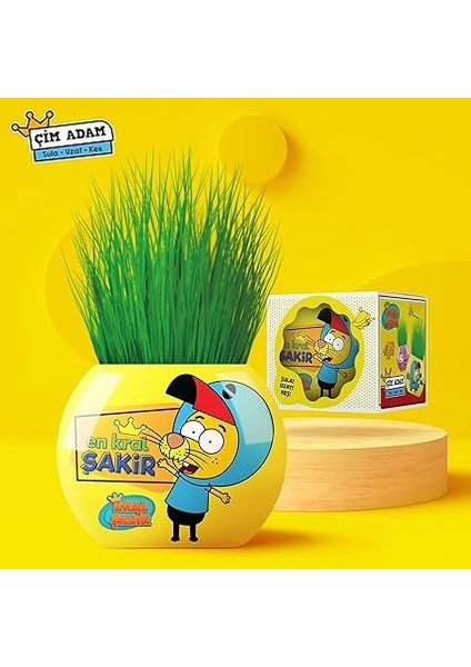 Kral Şakir Temalı Çim Adam 6'lı Set – Çocuklar Için Eğitici ve Eğlenceli Bitki Yetiştirme Kiti fiyatları