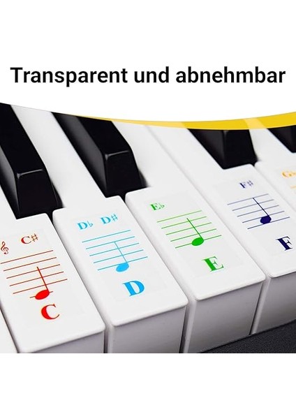 Renkli Piyano ve Klavye Çıkartmaları ve Tam Piyano Dersleri, Renkli Notalar ve Kılavuz (Türkçe Olmayabilir), Çocuklar ve Yeni Başlayanlar Için, Şeffaf modelleri