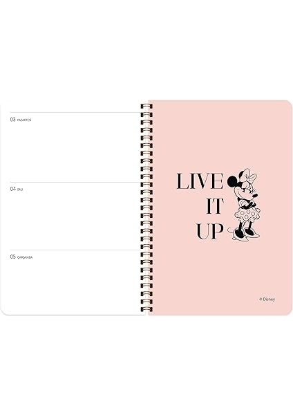 Color Minnie Mouse 2023 Haftalık Ajanda - Get It, 13X19,5 modelleri