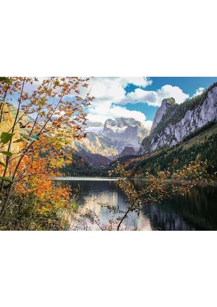 , 1000P Puzzle Avusturya, Yetişkin Puzzle