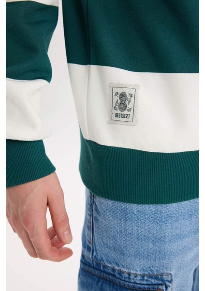 Boxy Fit Polo Yaka Çizgili Sweatshirt D1784AX24WN