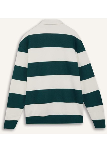 Boxy Fit Polo Yaka Çizgili Sweatshirt D1784AX24WN