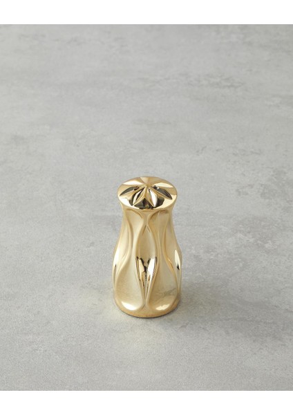 Baho Cam Tuzluk - Biberlik 4X4X8 cm Gold (13.11.2025) fiyatları