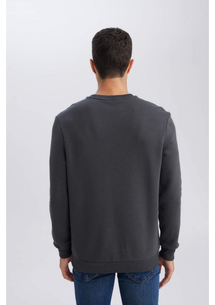 3 İplik Pamuklu Şardonlu İçi Polarlı Regular Fit Bisiklet Yaka Kalın Sweatshirt