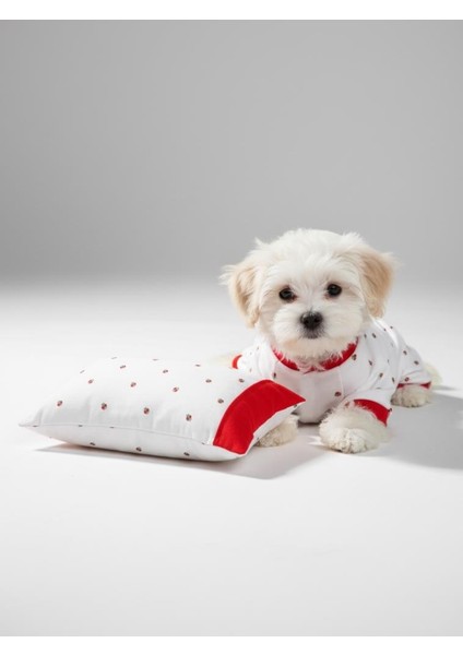 Berry Köpek Uyku Takımı | Pamuklu Penye Köpek Tulumu ve Mini Yastık | Küçük Irklar Için | Tüy Dökülmesini Azaltır