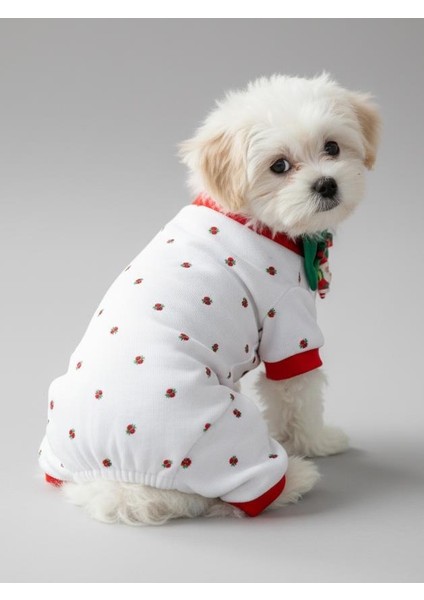 Berry Köpek Uyku Takımı | Pamuklu Penye Köpek Tulumu ve Mini Yastık | Küçük Irklar Için | Tüy Dökülmesini Azaltır indirimleri