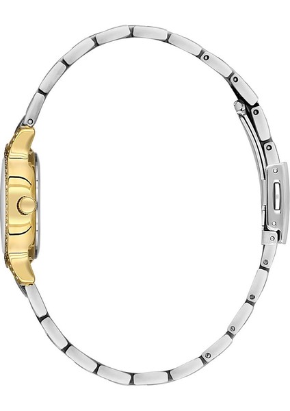 Danıel Kleın DK.1.14118-4 Kadın Kol Saati fiyatları